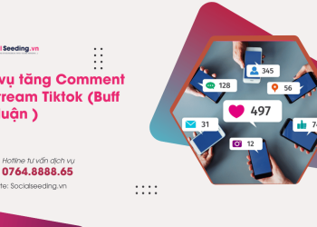 Dich Vu Tiktok Socialseeding